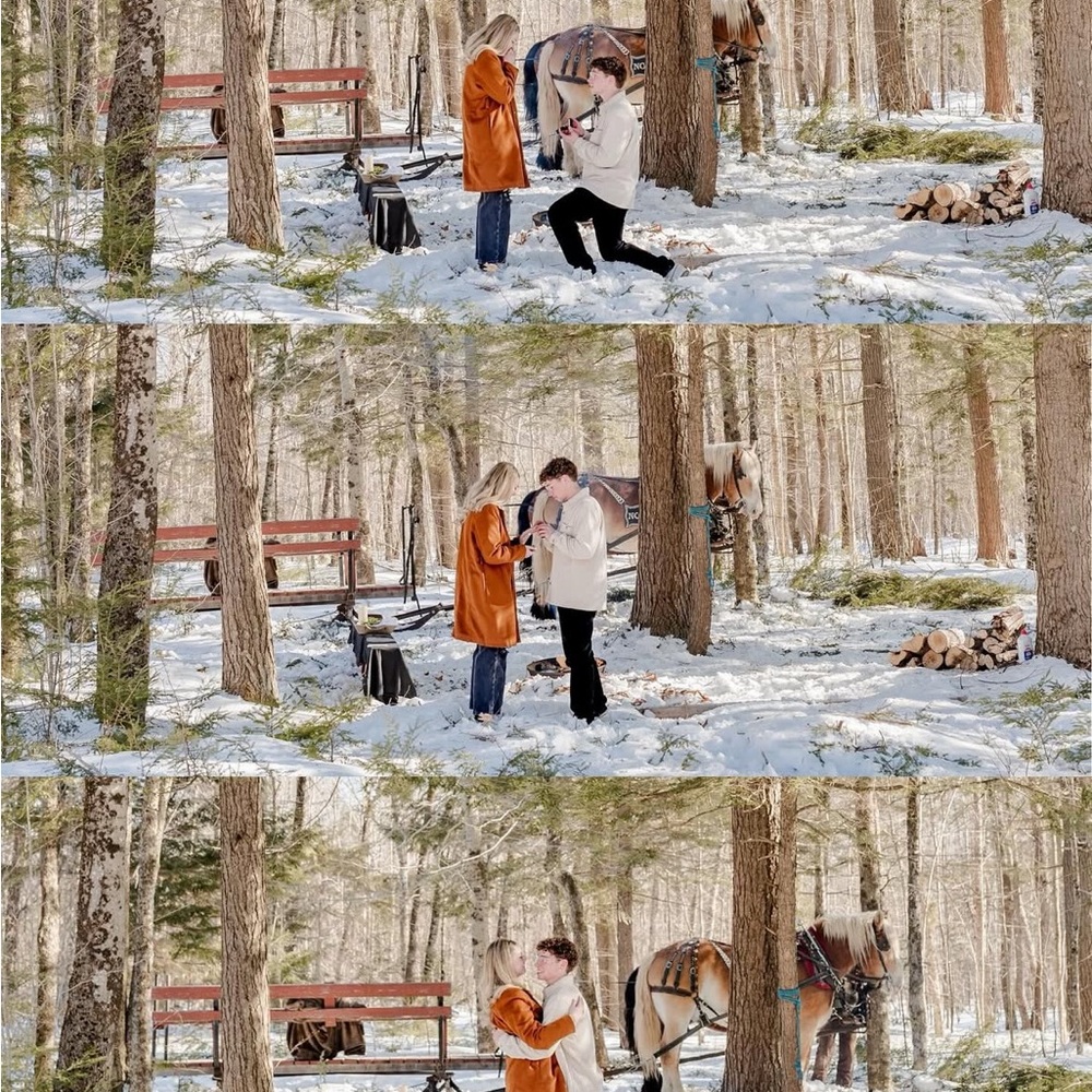 Meet your Posher, Riley - Picture 4 of 13